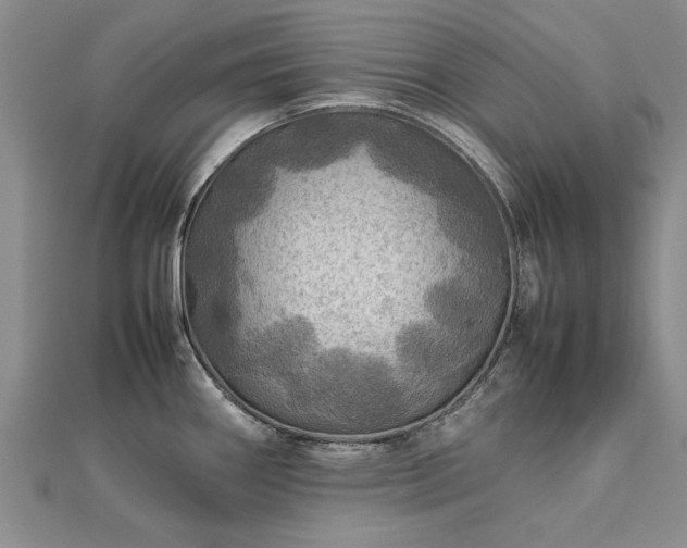 X0000112771290200908271633