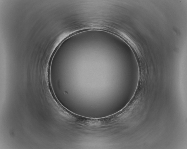 X0000112771291200908271633