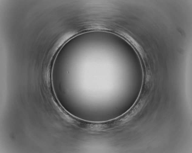 X0000112771293200908271633
