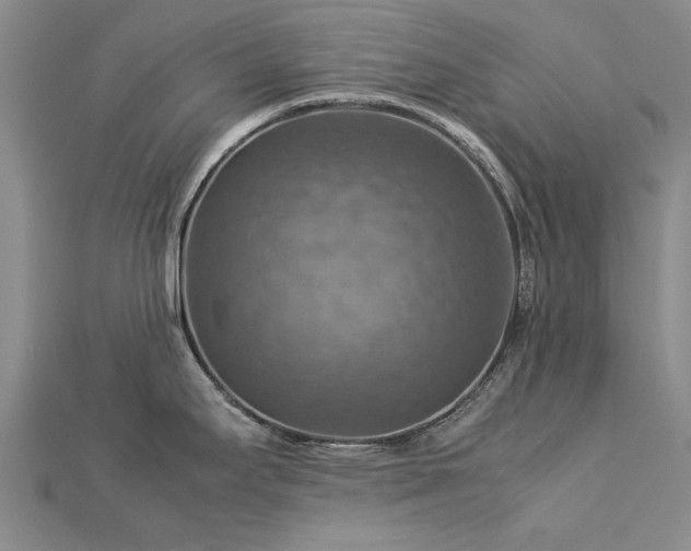 X0000112771295200908271633
