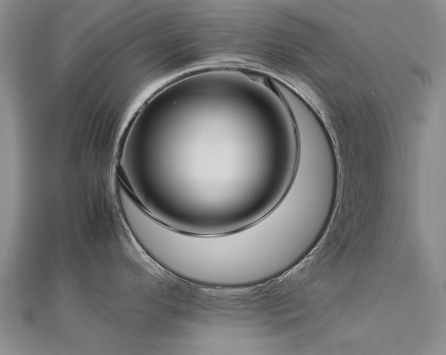 X0000112771296200908271633