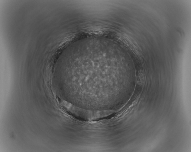 X0000112771297200908271632