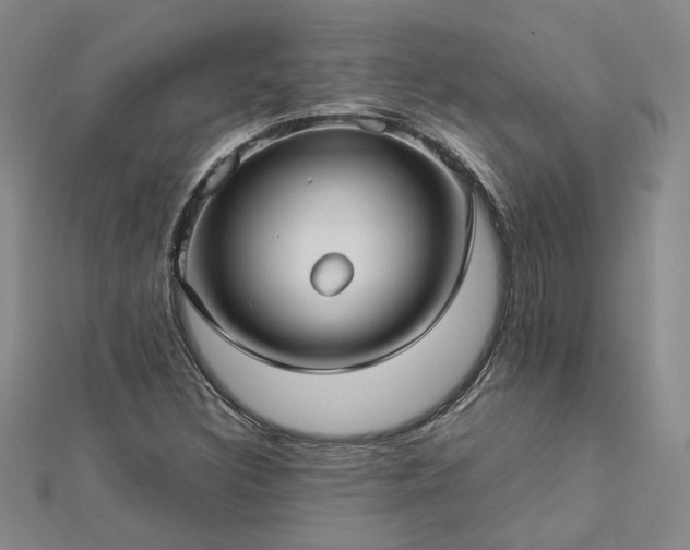 X0000112771308200908271633