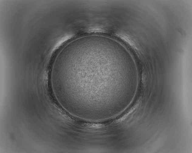 X0000112771309200908271633