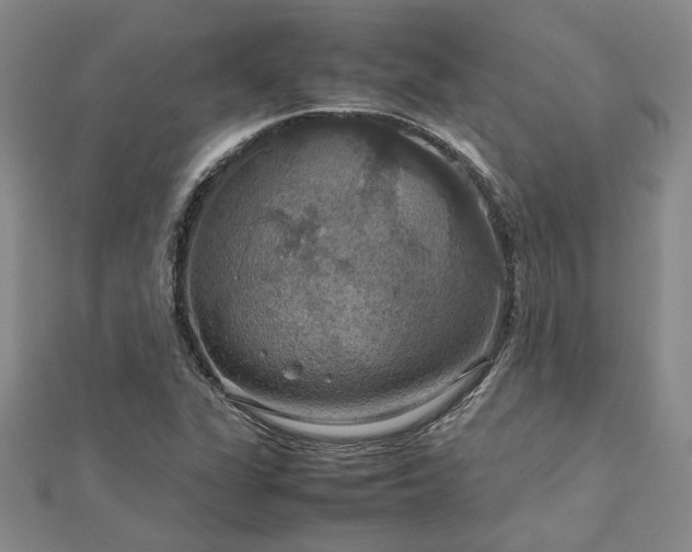 X0000112771311200908271633