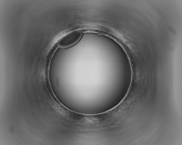 X0000112771312200908271633