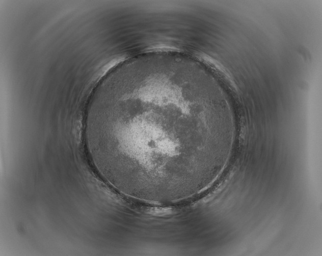 X0000112771313200908271633
