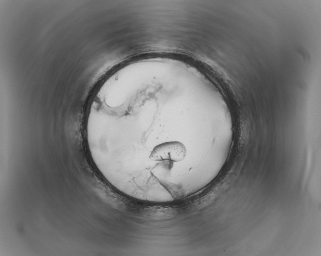 X0000112771314200908271633