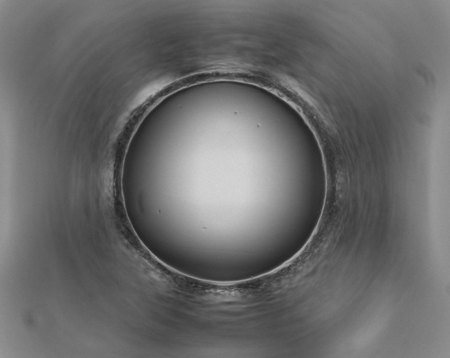 X0000112771315200908271633