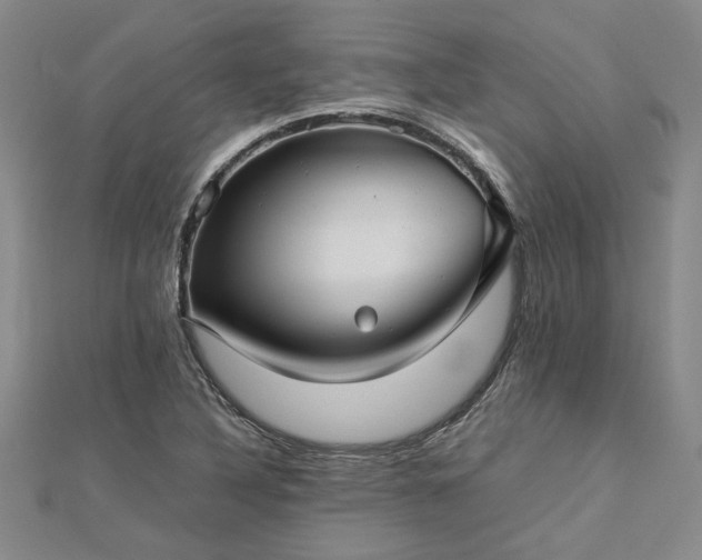 X0000112771316200908271633