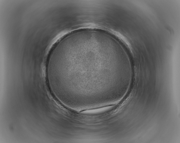 X0000112771318200908271633