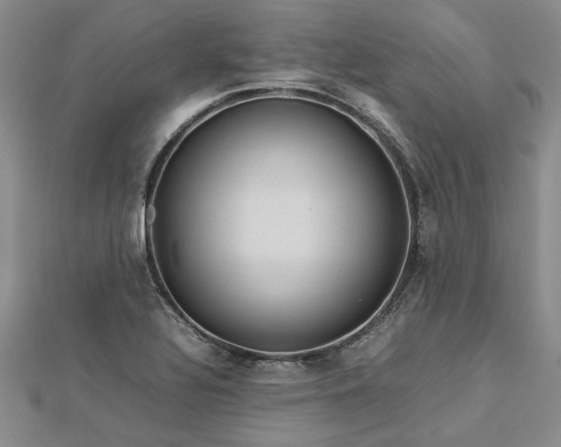 X0000112771320200908271633