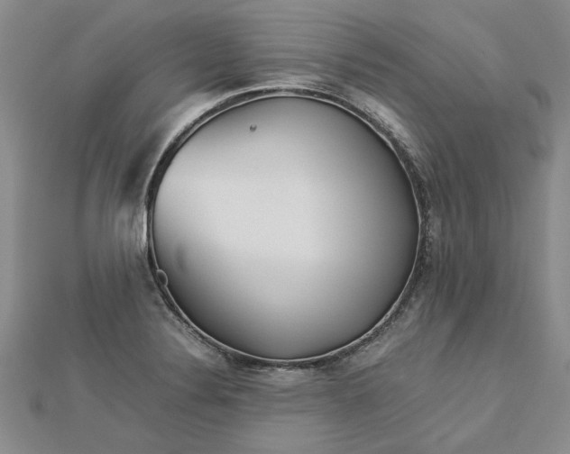 X0000112771324200908271633