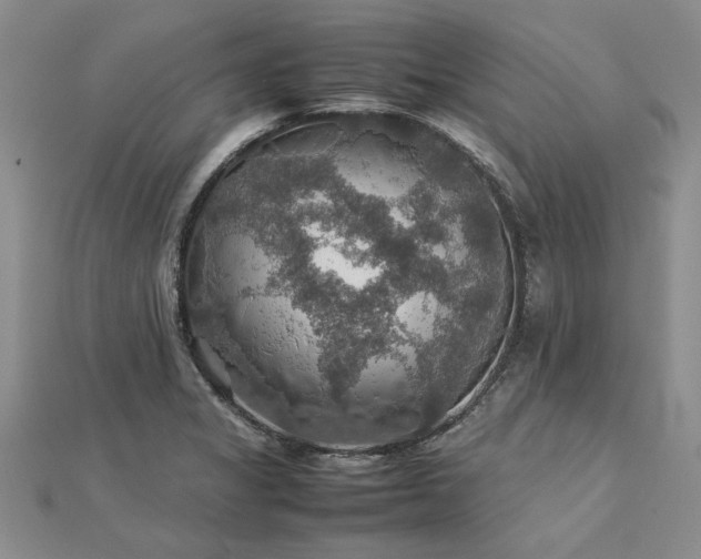 X0000112771325200908271633