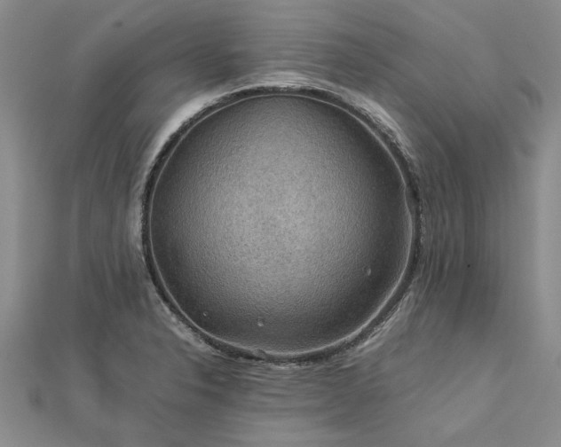 X0000112771326200908271633