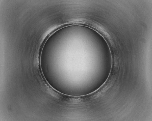 X0000112771328200908271633
