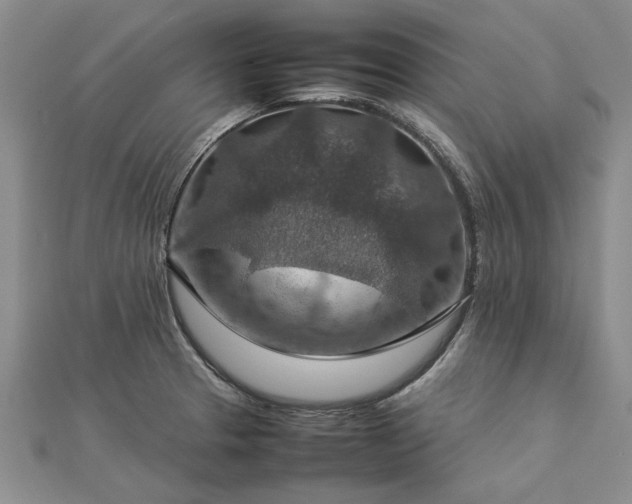 X0000112771329200908271633