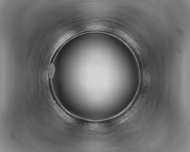X0000112771330200908271633