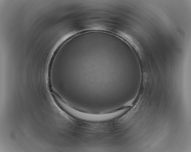 X0000112771331200908271633