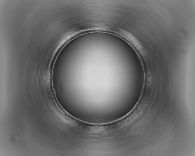 X0000112771332200908271633