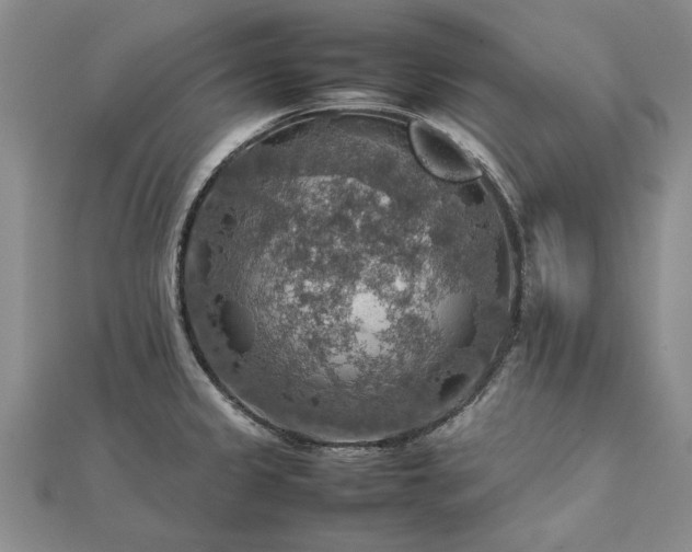 X0000112771333200908271633