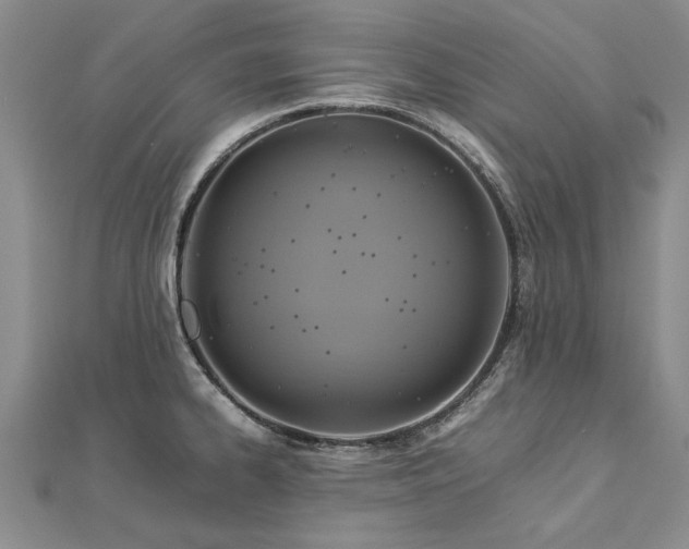 X0000112771334200908271633