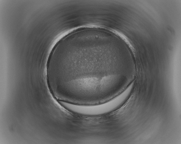 X0000112771335200908271633
