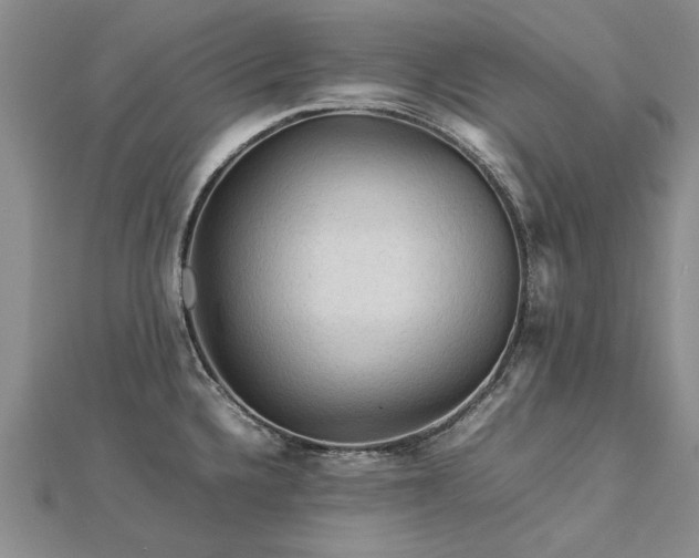 X0000112771336200908271633