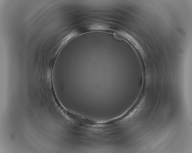 X0000112771337200908271633