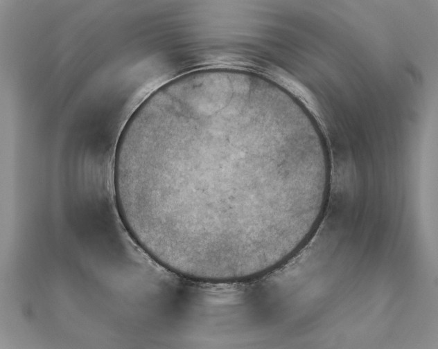X0000112771338200908271633