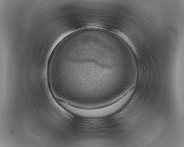 X0000112771339200908271633