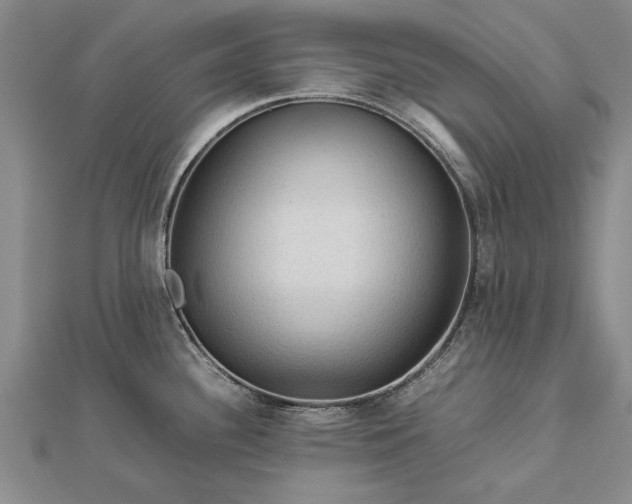X0000112771340200908271633