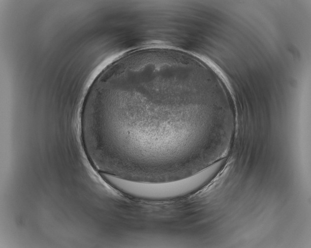 X0000112771341200908271633