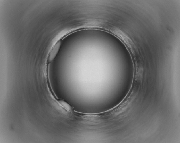 X0000112771342200908271633