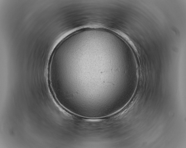 X0000112771343200908271633