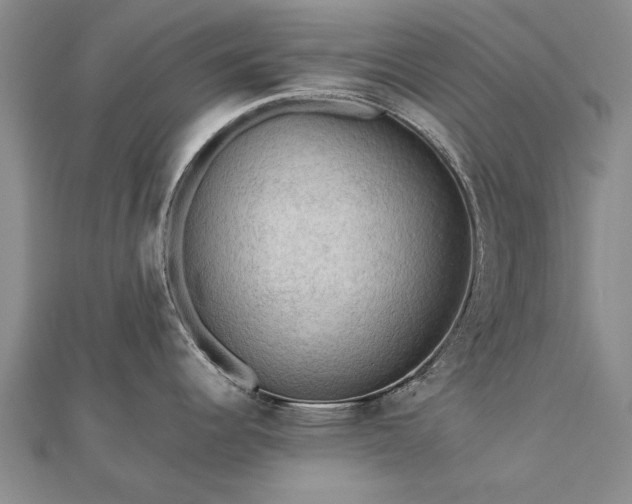X0000112771344200908271633