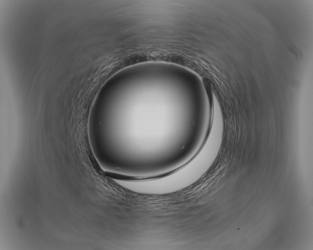 X0000112771345200908271632