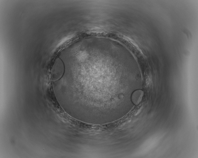 X0000112771350200908271632