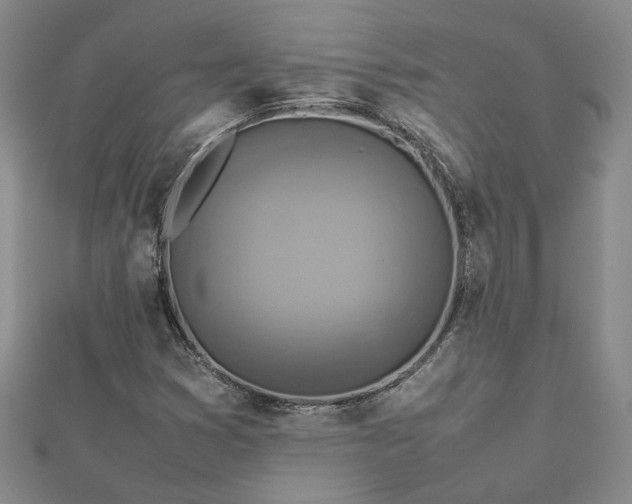 X0000112771353200908271632