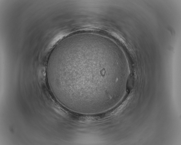 X0000112771355200908271632