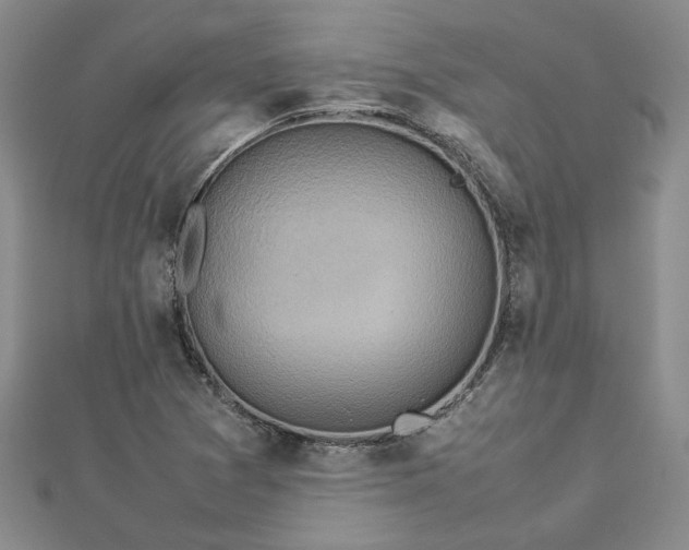X0000112771361200908271632