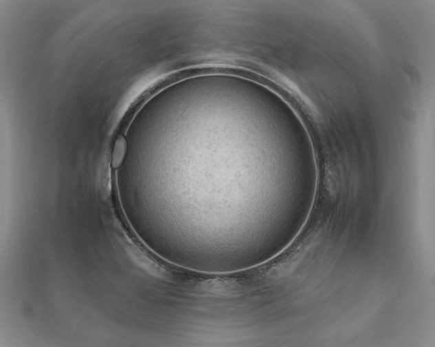 X0000112771368200908271632