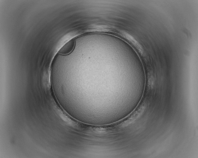X0000112771370200908271632
