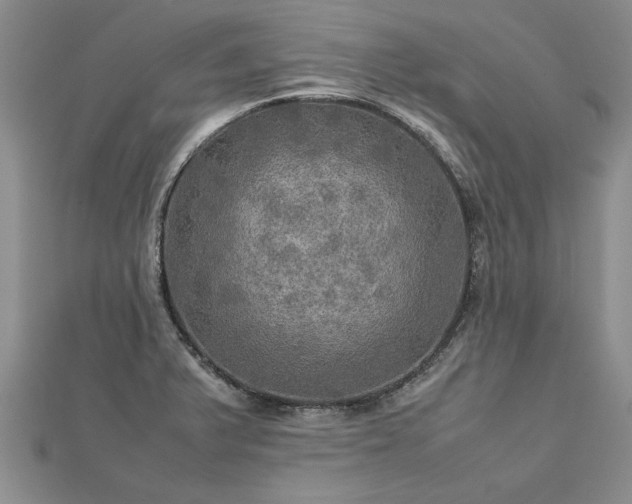 X0000112771375200908271632