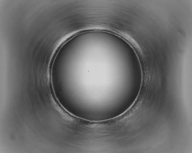 X0000112771380200908271632
