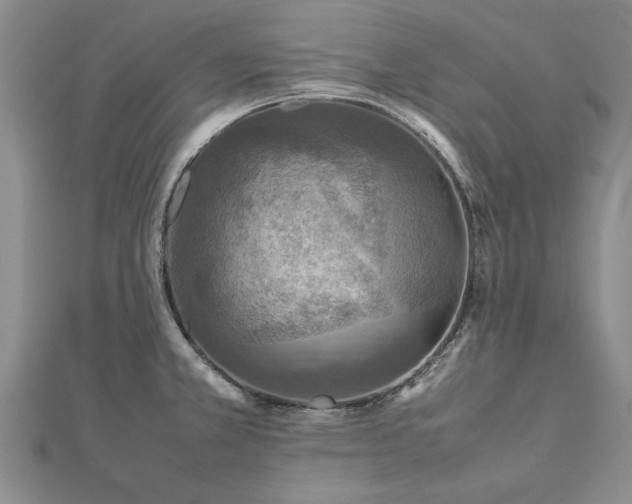 X0000112771381200908271632