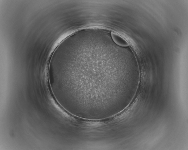 X0000112771382200908271632