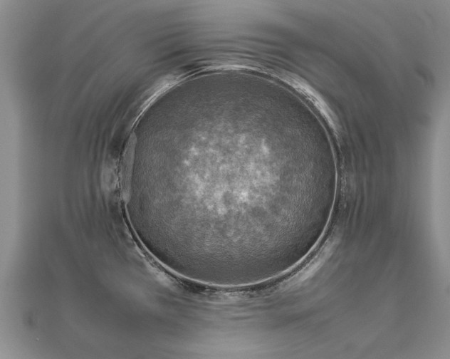 X0000112771385200908271632