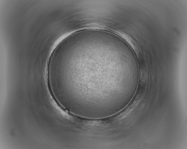 X0000112771387200908271632