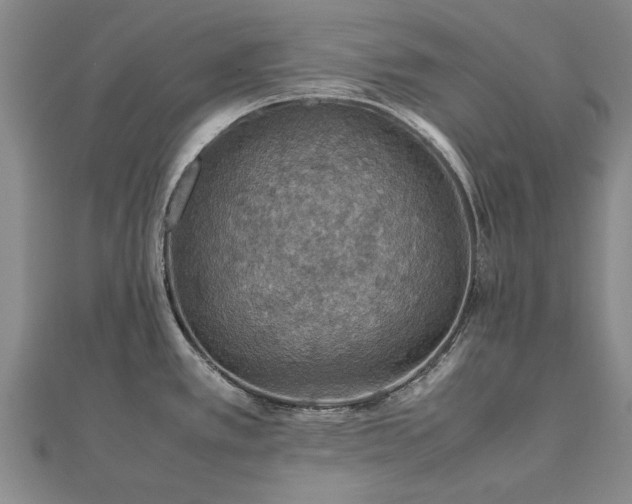 X0000112771389200908271632